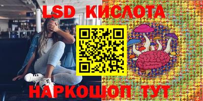 spice Заводоуковск