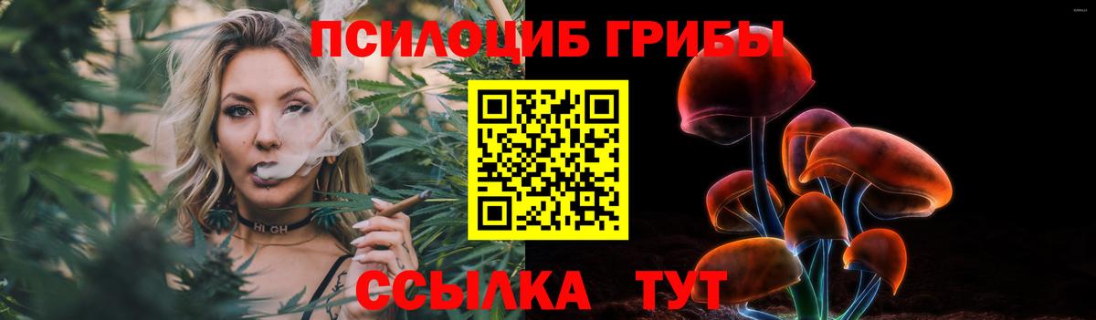 Псилоцибиновые грибы Psilocybe  Вход с VPN  Галлюциногенные грибы Psilocybe  Тихорецк 